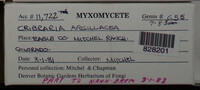 Image Associated With the Occurence